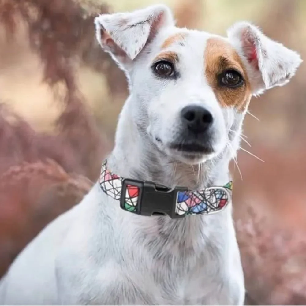 Unisex Moonpet Dog Collar abstract design size large